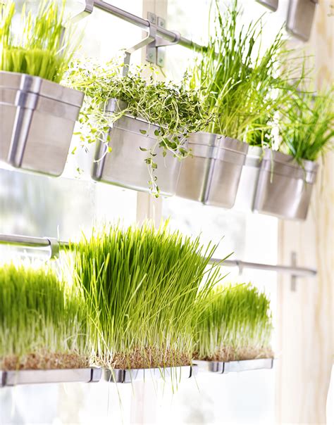 Kids' indoor herb garden kit. Vertical kitchen herb garden - We Are Scout