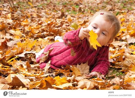 Baby Discovering Autumn Leaves A Royalty Free Stock Photo From Photocase
