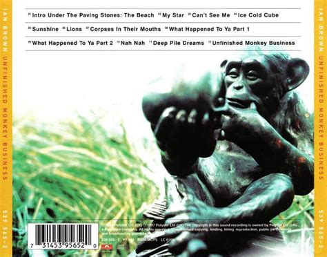 Ian Brown Unfinished Monkey Business Cd Deform Müzik