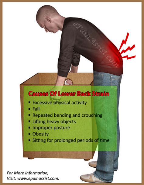 Lower Back Strain Treatment Prevention Symptoms Causes