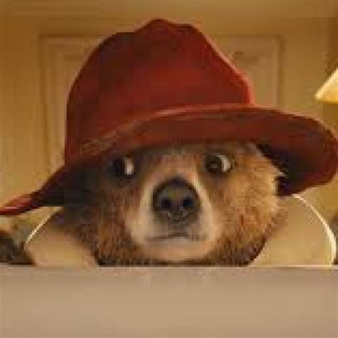 219 Best Paddington Bear Images On Pinterest Bears Baby Books And
