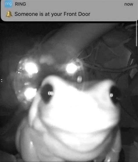 Ring Doorbell Know Your Meme