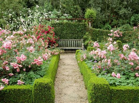 33 Dreamy Rose Garden Ideas To Ignite Your Imagination Stunning Photos