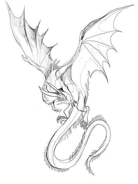 Full Body Cool Dragon Drawings