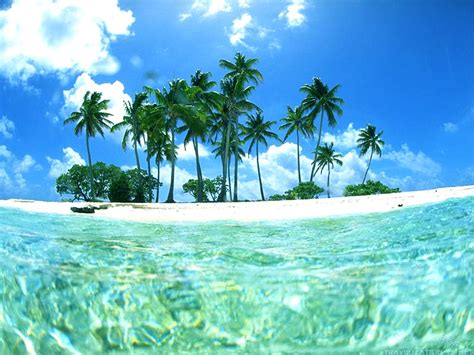 Escape To Paradise With These Desktop Backgrounds Tropical Scenery