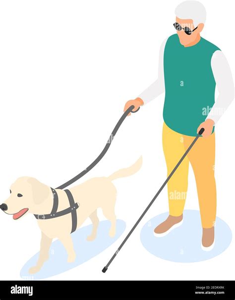 Blind Elderly Man With Walking Stick And Guide Dog Isolated On White