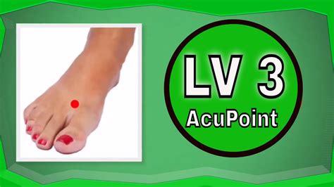 Liver 3 Acupuncture Point Loation And Functions Youtube