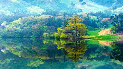 Korea Nature Wallpapers Top Free Korea Nature Backgrounds