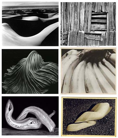 We would like to thank lava.net and edwards family for allowing us to continue the page edward created and transferring the files to us. SOPHIE RUTHERFORD: Edward Weston Still Life Research.