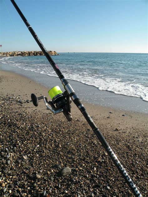 Canne Mitchell Mag Pro Elite Surfcasting Power