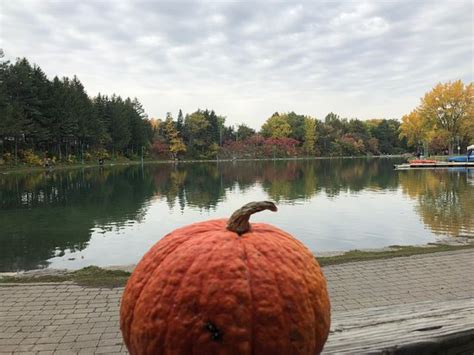 Nature Centre Le Centre De La Nature Laval All You Need To Know