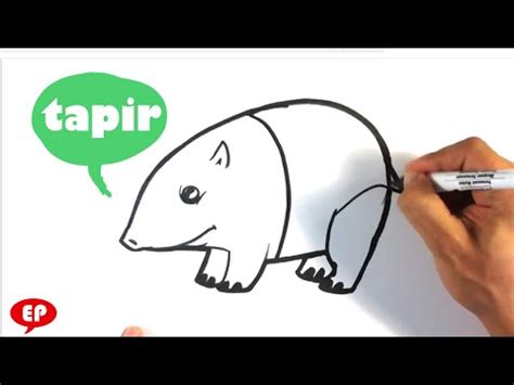 Live preview cartoon camera option includes dozens of layouts that you can use on anything from profile pictures to instagram stories; How to Draw a Tapir - Cute - Easy Pictures to Draw - YouTube