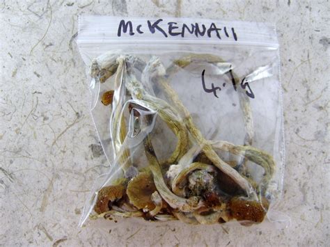 We did not find results for: McKennaii (Psilocyne McKennaii) - (Psilocybe cubensis ...
