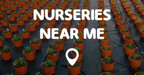 All of our local florist partners carry roses in their store including the classic red roses which are perfect for the person that you love. NURSERIES NEAR ME - Points Near Me