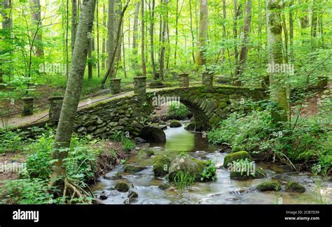 Moss Covered Bridge Hi Res Stock Photography And Images Alamy