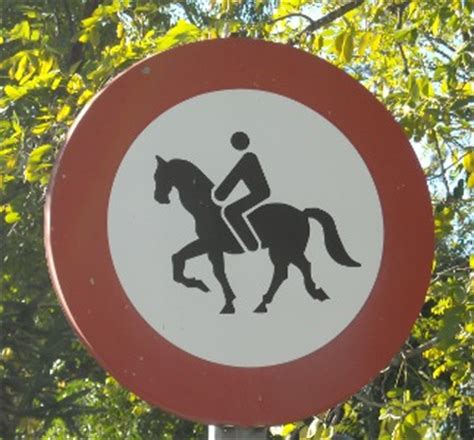 There were some ducks and hens near the farm. Spanish no-overtaking roadsigns » People