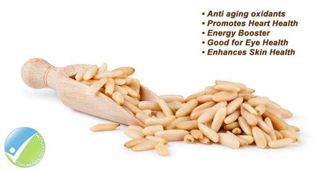 Pine Nuts Health Benefits Side Effects Doses And Supplements