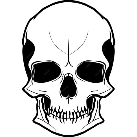 Premium Vector | Skull vector a graphic designer's secret ingredient