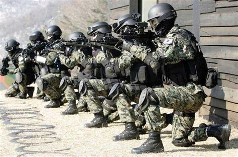 List Of Top 10 Strongest Armies In The World 2015 Ranking
