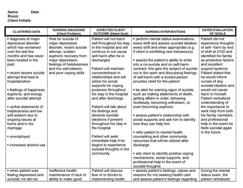 Care Plan Approach Template