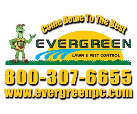 Brock lawn and pest control inc. Evergreen Lawn & Pest Control Reviews - Apopka, FL | Angie ...