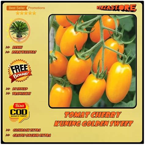 Jual Biji Benih Tomat Cherry Kuning F Golden Sweet Cerry Lonjong