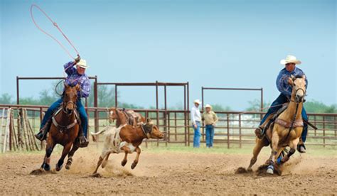 We provide instructional videos, entertainment, online coaching, podcasts, and all your roping gear in one place. Reaching for Success with Jake Barnes - The Team Roping ...