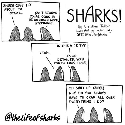 Twitter Cute Shark Sharks Funny Shark Week