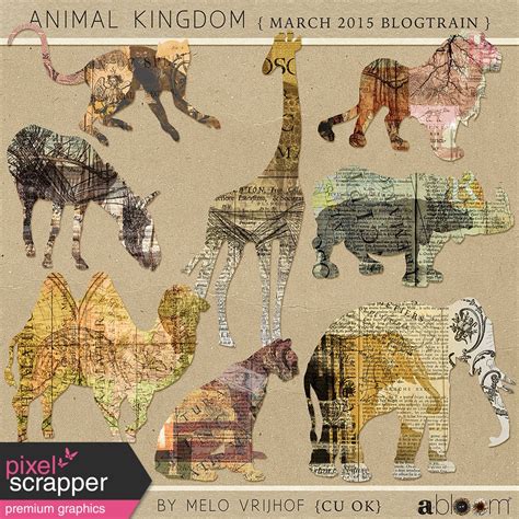 Animal Kingdom Zoo Collage By Melo Vrijhof Graphics Kit