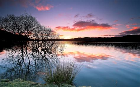 Wallpaper Trees Lake Water Reflection Sunset Twilight