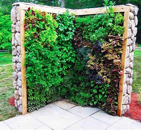 Amazing Vertical Salad Garden Ideas An Edible Wall Of Greens Eco