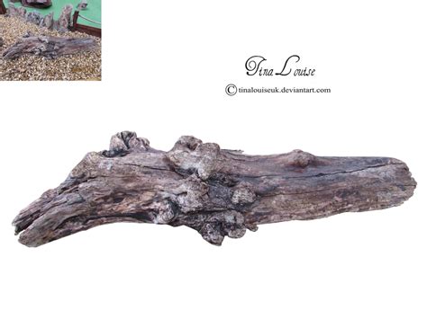 Driftwood Log By Tinalouiseuk On Deviantart