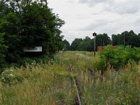 Мария журомская, эльмира айнулова, глеб фетисов. Sobibor
