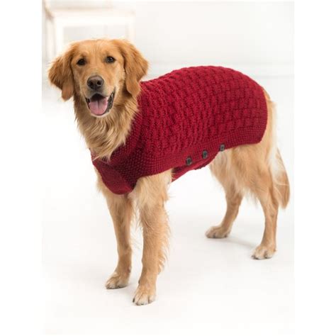 Lion Brand Vannas Choice Clifford Dog Knit Sweater