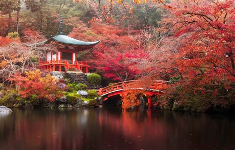 Wallpaper Autumn Forest Bridge River Japan Temple Japan Forest