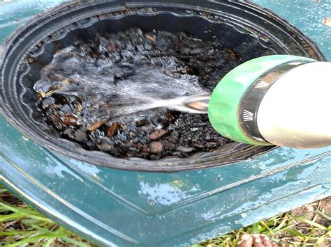 Maybe you would like to learn more about one of these? How To Grow A Mango Tree From a Seed