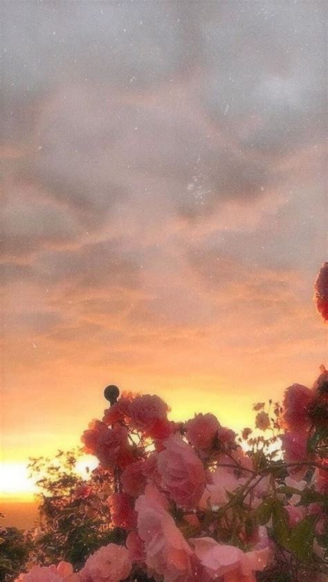 Aesthetic Wallpaper - NawPic