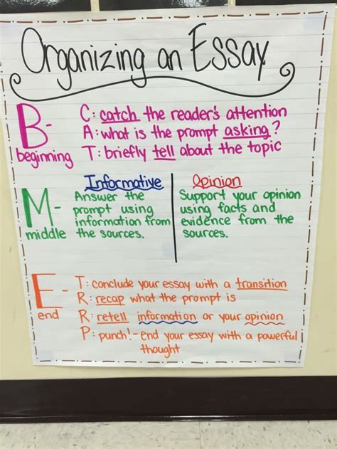 An opinion paragraph expresses the writer's opinion. Organizing an essay anchor chart! FSA styled writing for ...