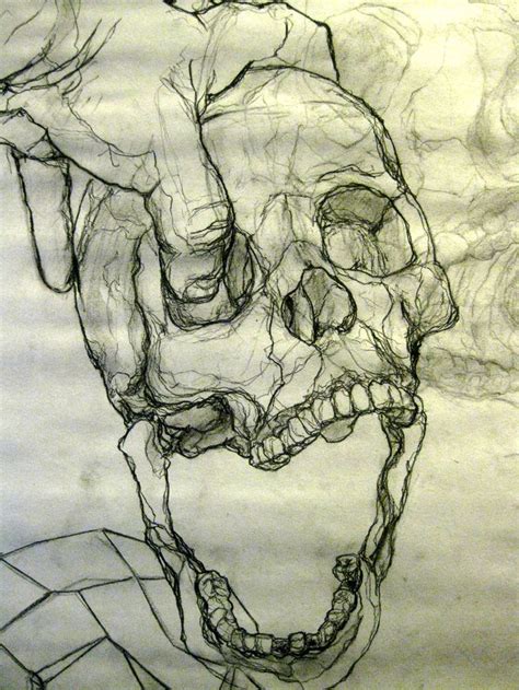 Skull Contour Drawing By James Grif Anatomy Art Art Sketchbook Art