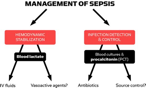 Lactate As An Aid In Sepsis Diagnosis And Management Radiometer