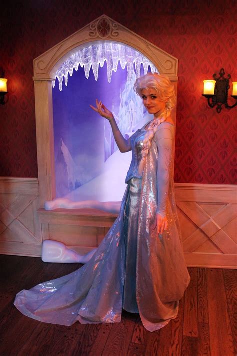 Pin By Vanessa Buck On Frozen Elsa Costume Disney Elsa Elsa Frozen