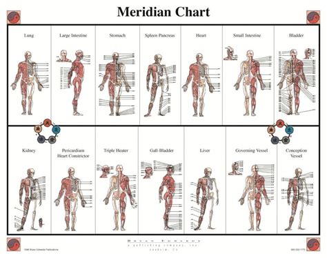 12 Meridians Of The Body Chart