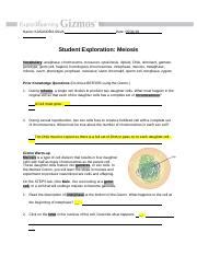 Meiosis gizmo answers (page 1). Read the description of interphase at the bottom of the ...