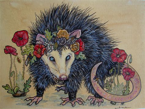 Opossum Drawing Opossum â€ Illustrations Upyourbutthealing