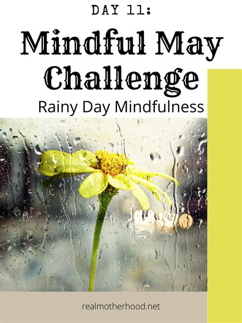 For Todays Challenge I Want You To Focus On The Sound And Or Visual Of Rain Clear Your Mind