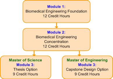 Bme courses must be taken. Biomedical Engineering Curriculum
