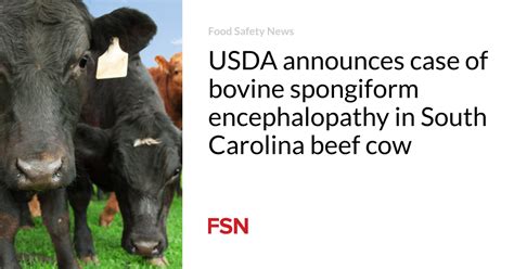 Usda Announces Case Of Bovine Sponorm Encephalopathy In South