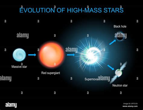Stellar Evolution Life Cycle Of Massive Stars From Red Supergiant And