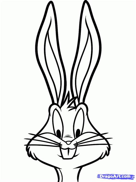 How do we begin to draw such a complicated thing as a rabbit? Step 6 | Bugs bunny drawing, Bugs drawing, Bunny drawing