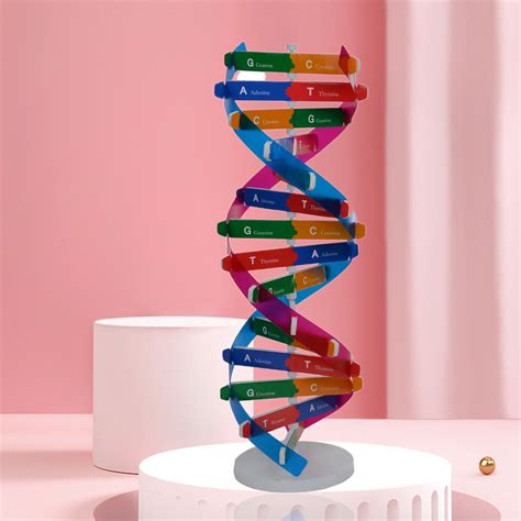 Double Helix Ideas In Dna Project Dna Model Project Dna Model My XXX